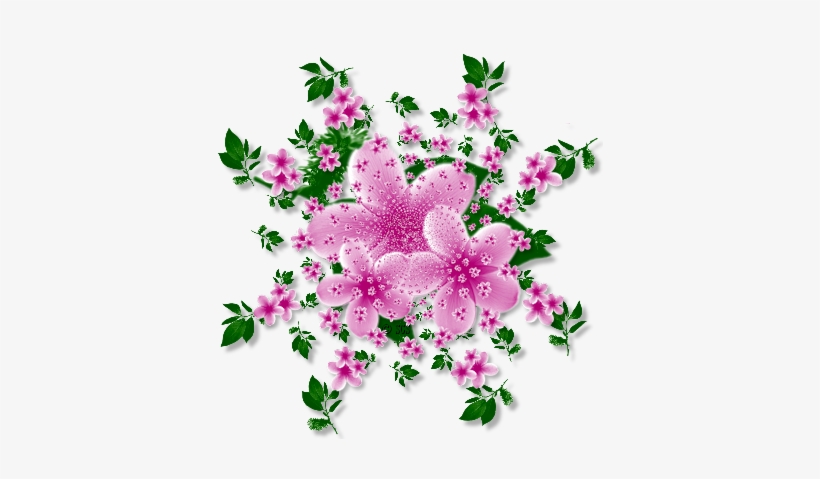 Album - Dianthus, transparent png download