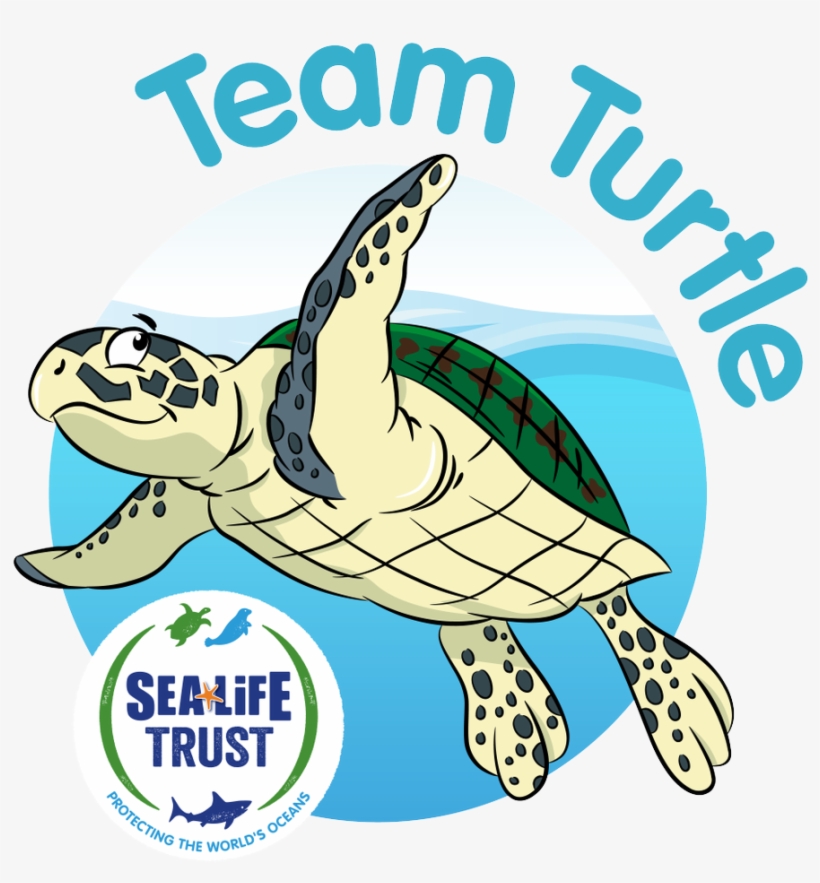 Sea Life Trust On Twitter - Sea Life Trust, transparent png download