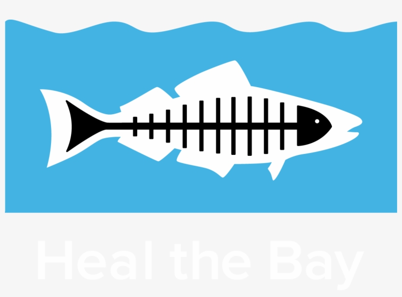 Heal The Bay, transparent png download
