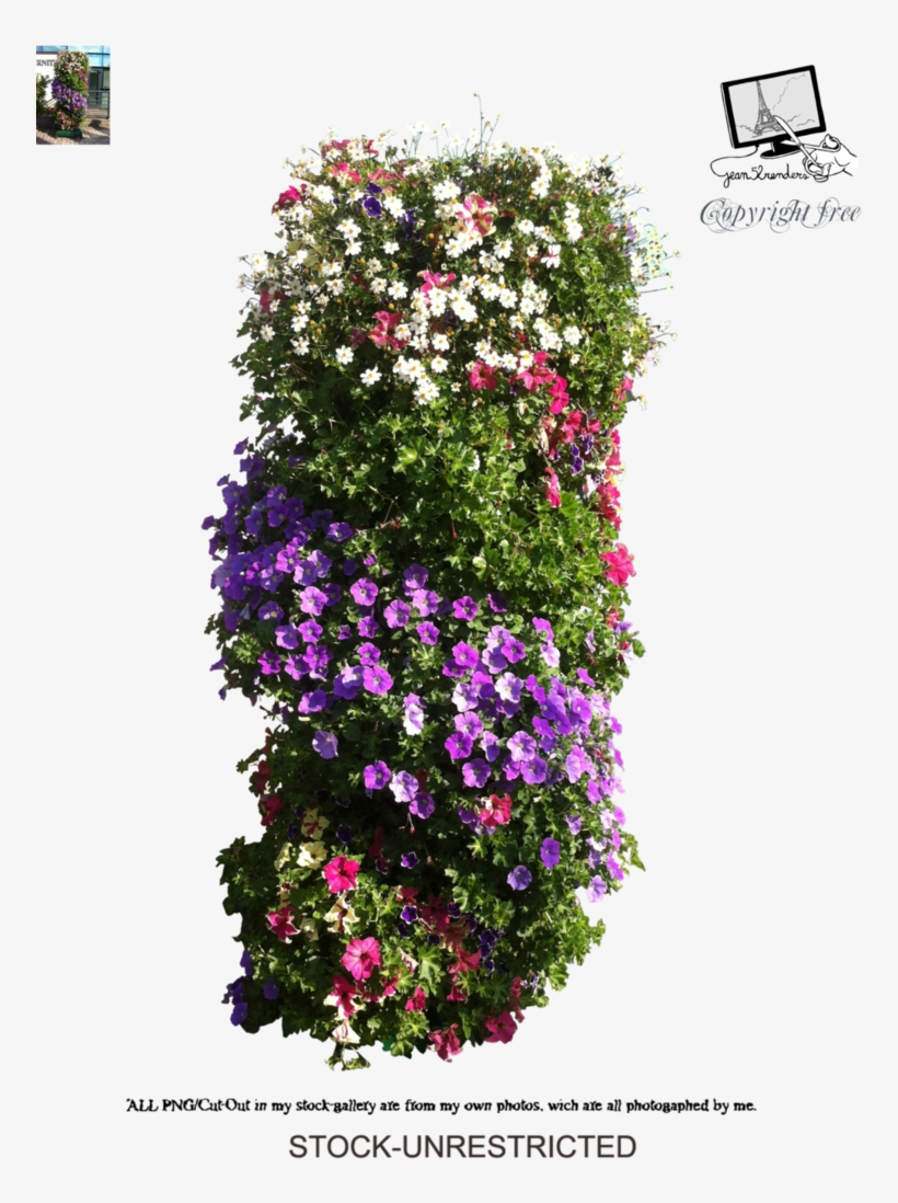 Please Follow The Rules In Our Journal Download For - Petunia, transparent png download