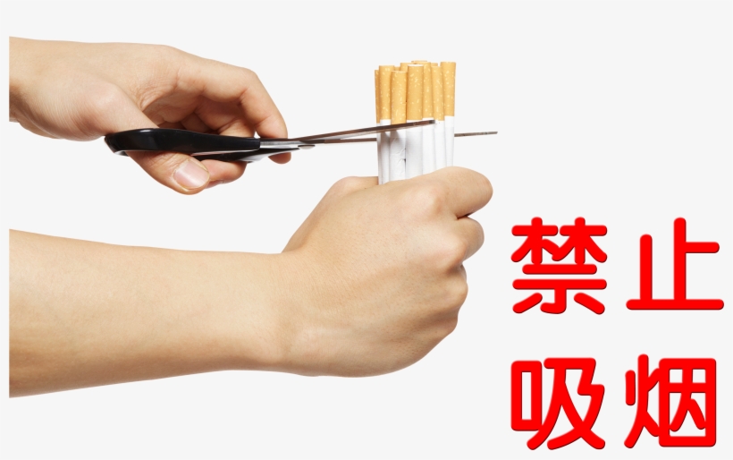 No Smoking Cut Off Cigarette Art Design - 日本緑十字社 建災防統一安全標識 1枚, transparent png download