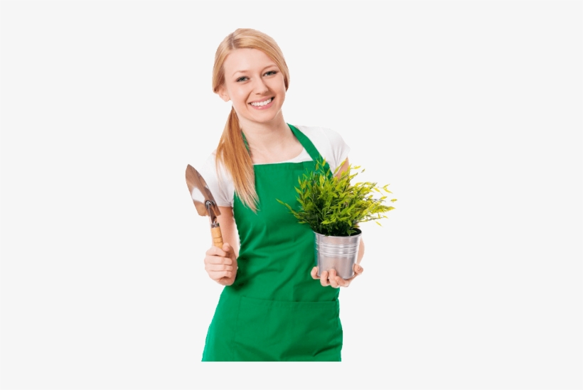 Community - Dębica, transparent png download