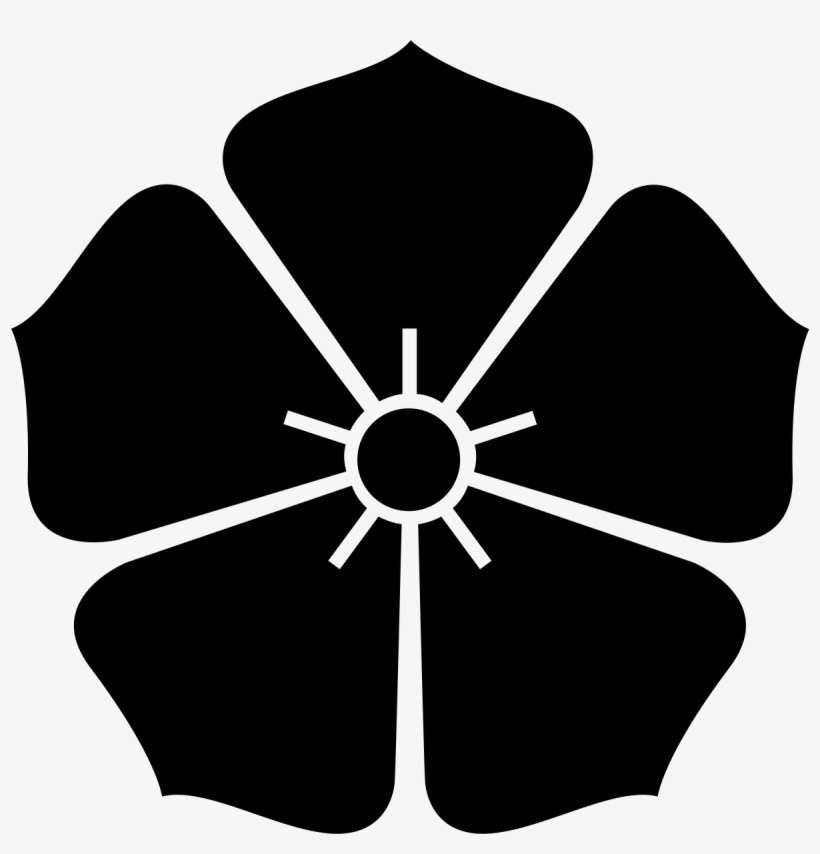 Box Turtles Computer Icons Painting Html Video - Die Südliche Halbkugel Des Himmels, transparent png download