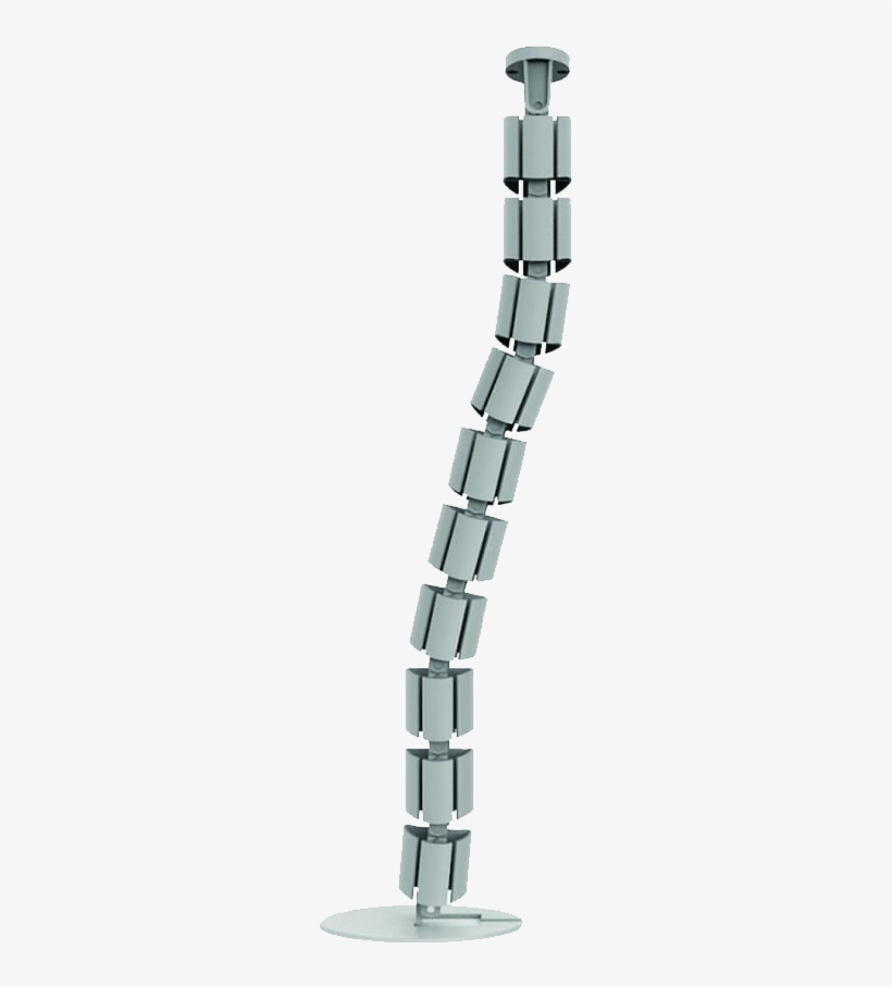 Spinal Cord Cable Management - Piccolo Clarinet, transparent png download