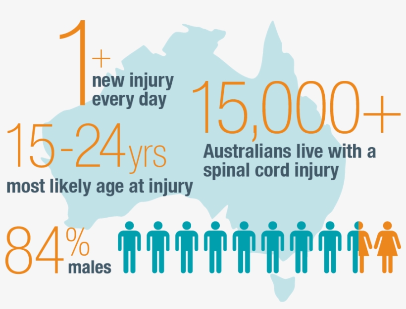 Spinal Cord Injury In Australia - Cnet, transparent png download