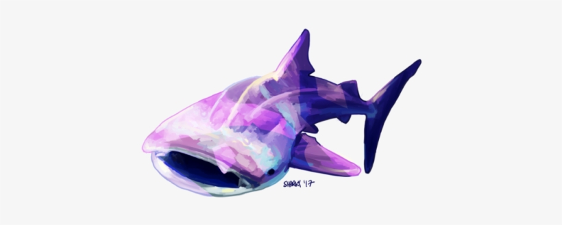 “messy Shark ” - Dolphin, transparent png download