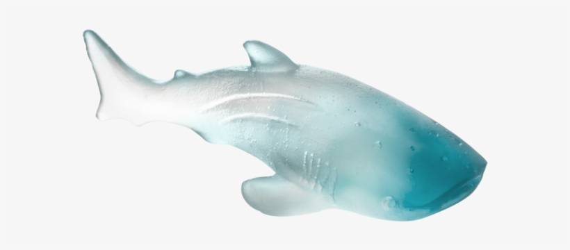Whale Shark, transparent png download