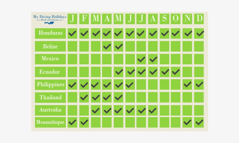When And Where To Dive With Whale Sharks In The World - Swim Whale Sharks Palawan, transparent png download