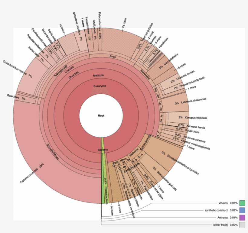 Overview Of Taxonomy Of Whale Shark Protein Best Matches - Krona Metagenome, transparent png download