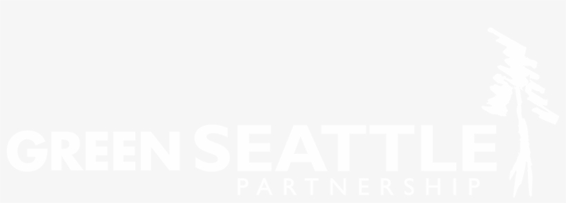 Green Text On Transparent Background - Graphic Design, transparent png download