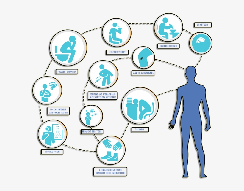 Diabetes Herbal Remedies - Color, transparent png download