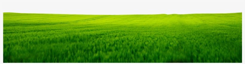 Green Land Images Png, transparent png download