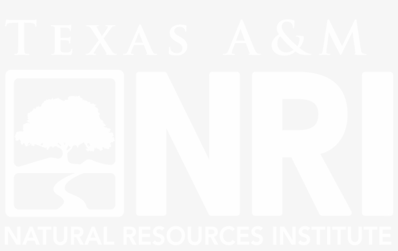 Texas A&m Natural Resources Institute - City, transparent png download