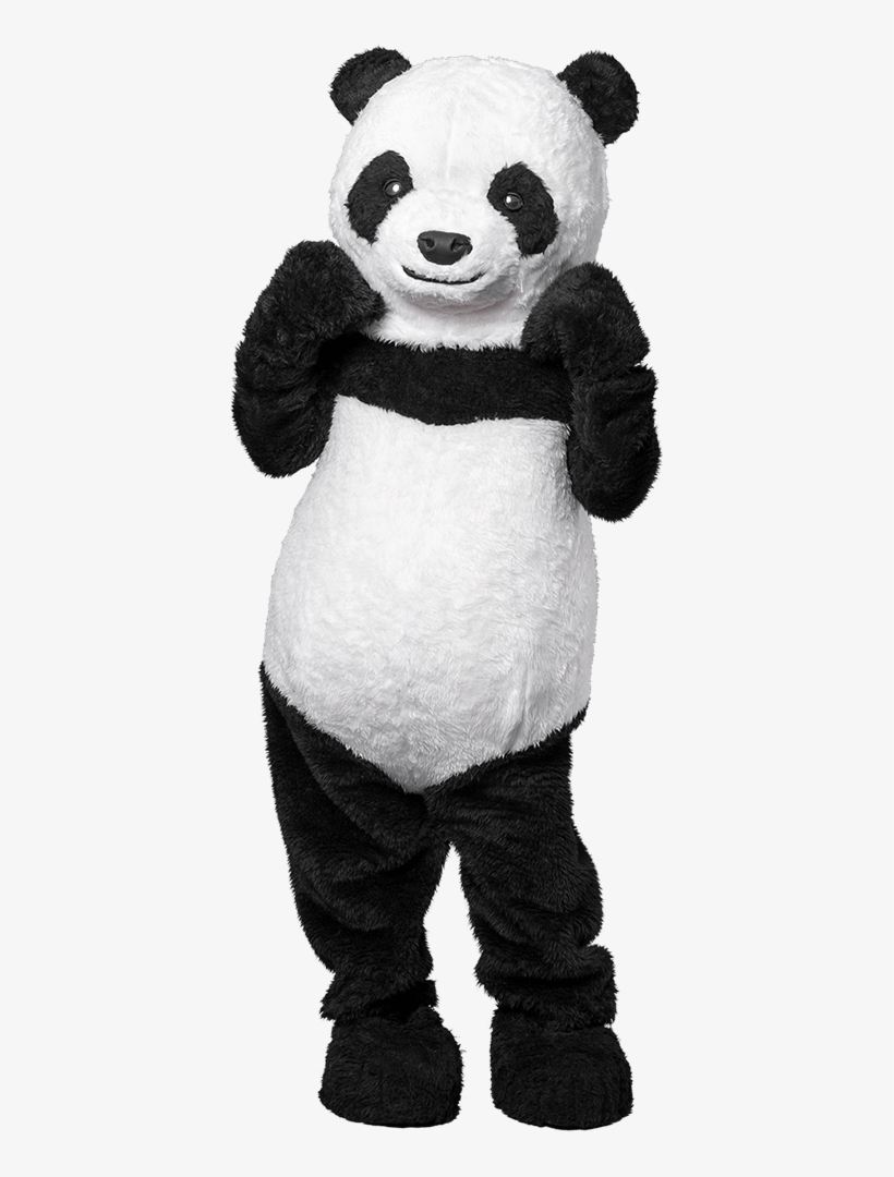 Choose Costume - Panda Costume, transparent png download