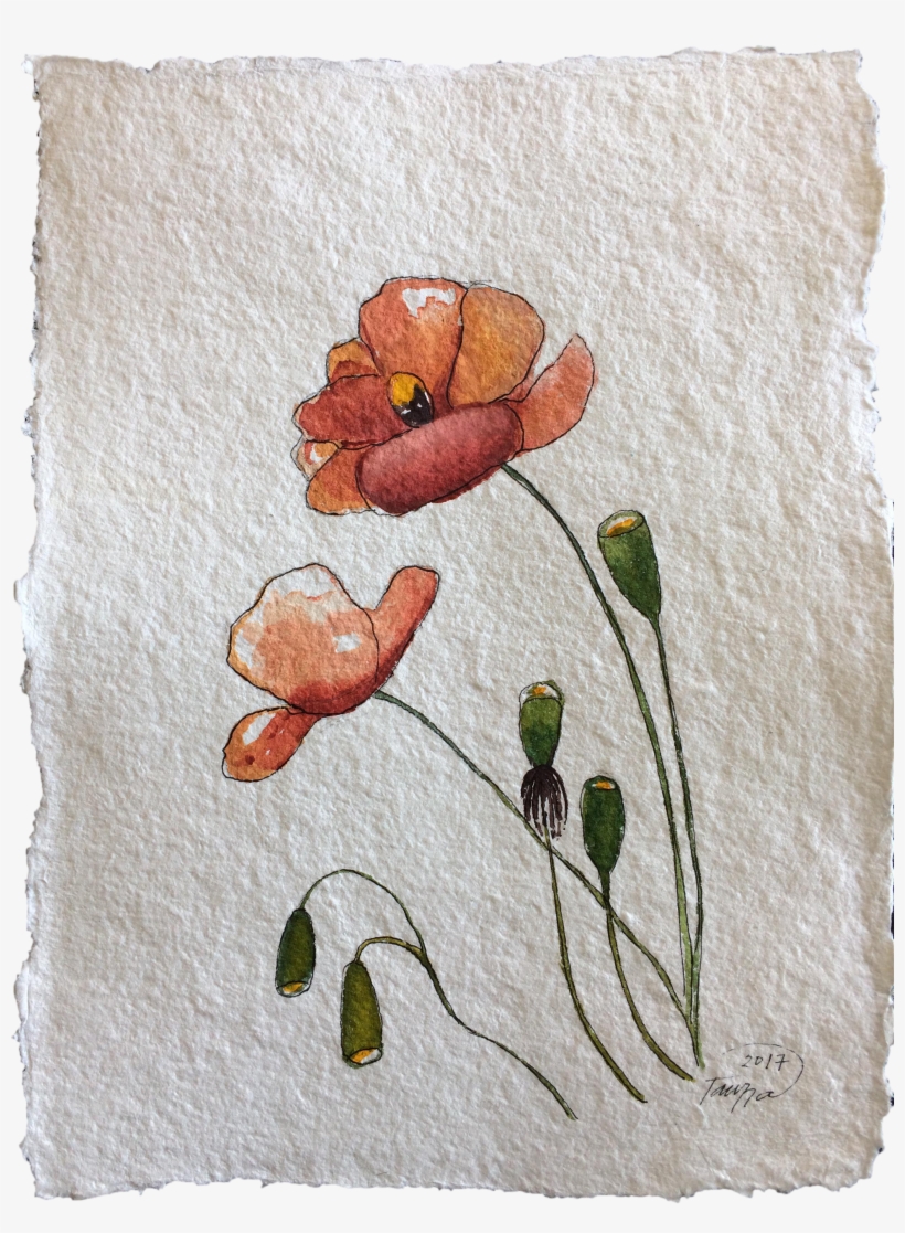 "poppies" Original Watercolor Painting On Chairish, transparent png download