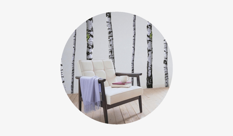 Merrick White From Merrick's Art - Birch Tree Decal, transparent png download