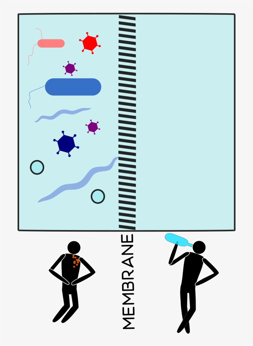 Illustration, transparent png download