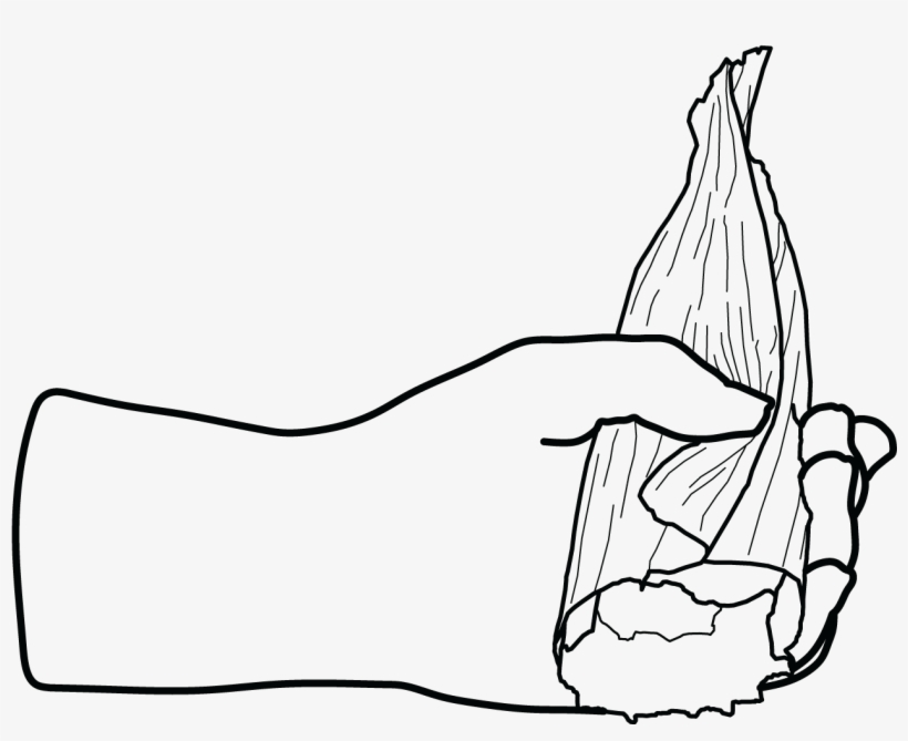 007 5 Tamales - Line Art, transparent png download