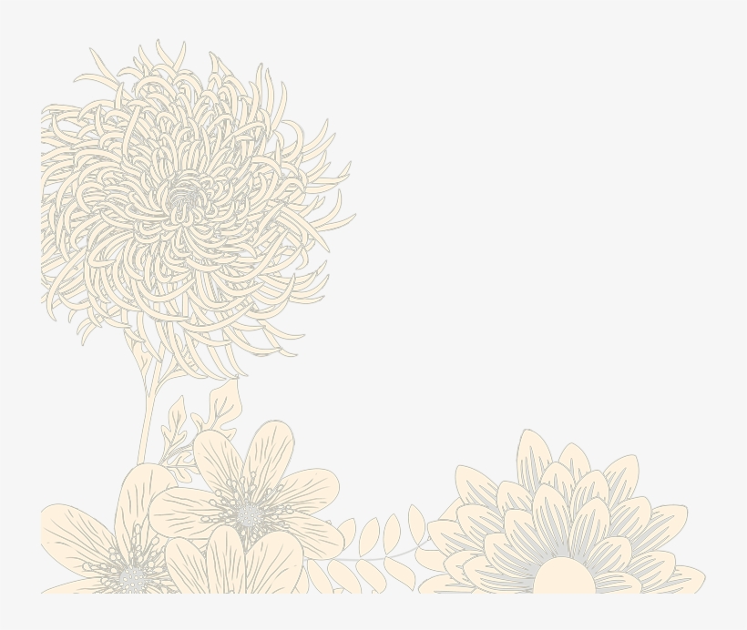 Floral Background Index 1 - Sunflower, transparent png download