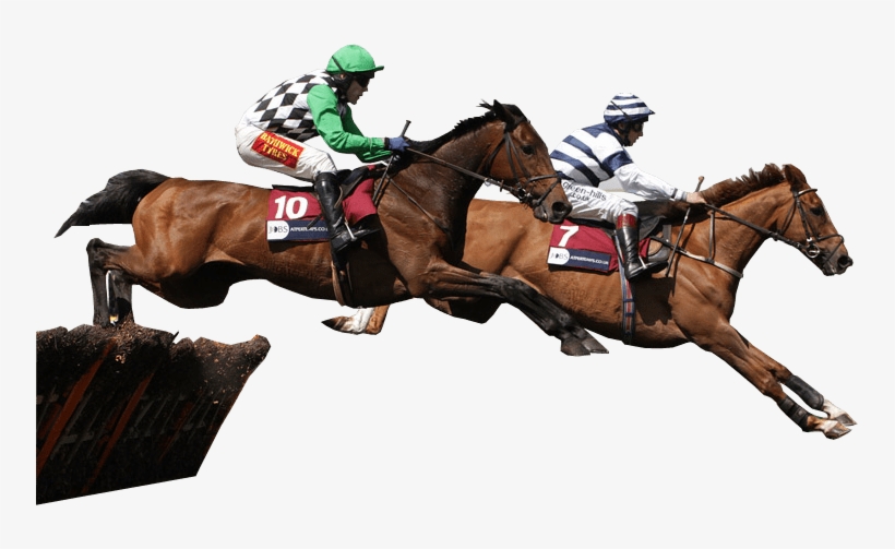 Transparent Background Horse Jumping Png, transparent png download