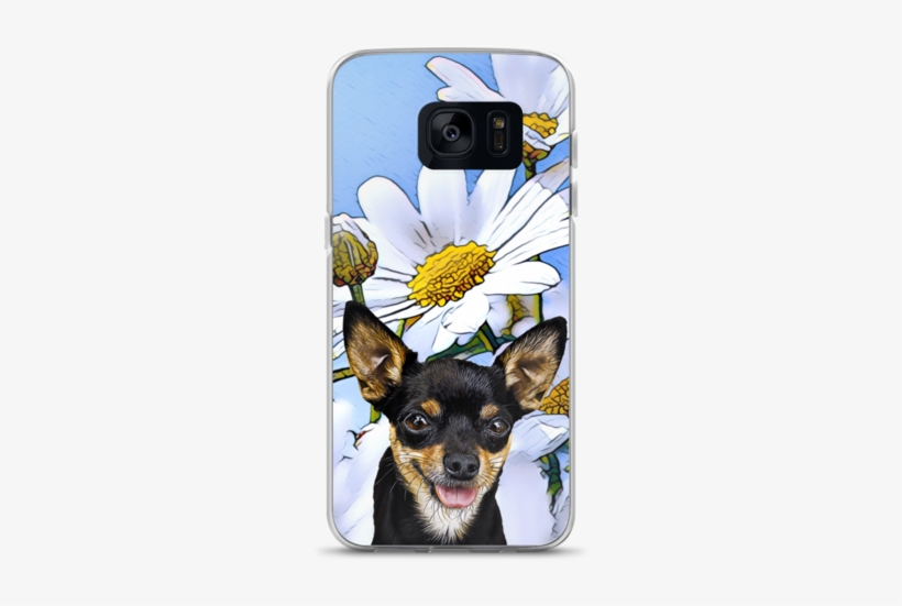 Samsung Case Chihuahua - Prague Ratter (prazsky Krysarik) Guide Prague Ratter, transparent png download