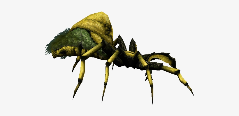 Bug-052 - Portable Network Graphics, transparent png download