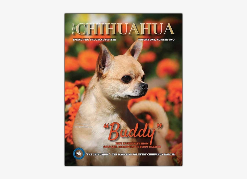 The Chihuahua - Chihuahua, transparent png download