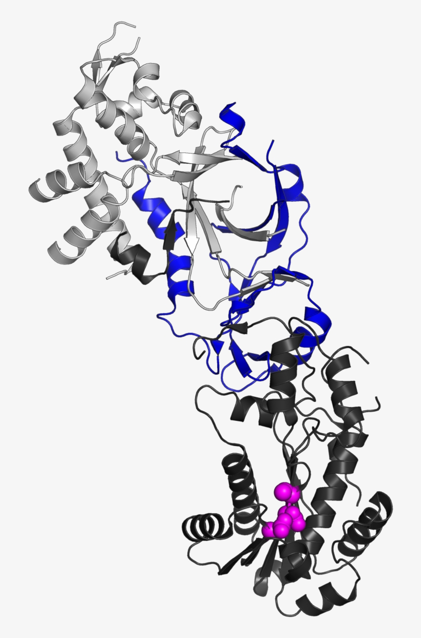 3puf Highlight Subunit C - Rnaseh2c, transparent png download