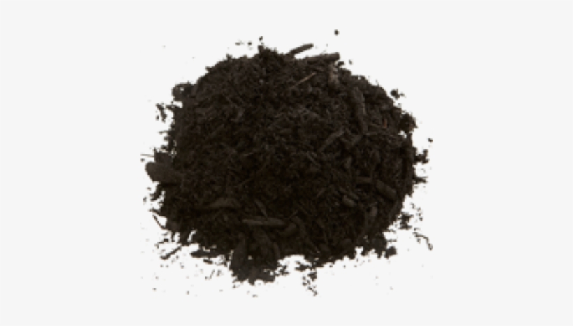 Black - Earl Grey Tea, transparent png download