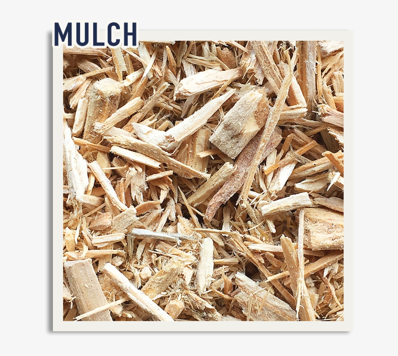 Learn More - Wood, transparent png download