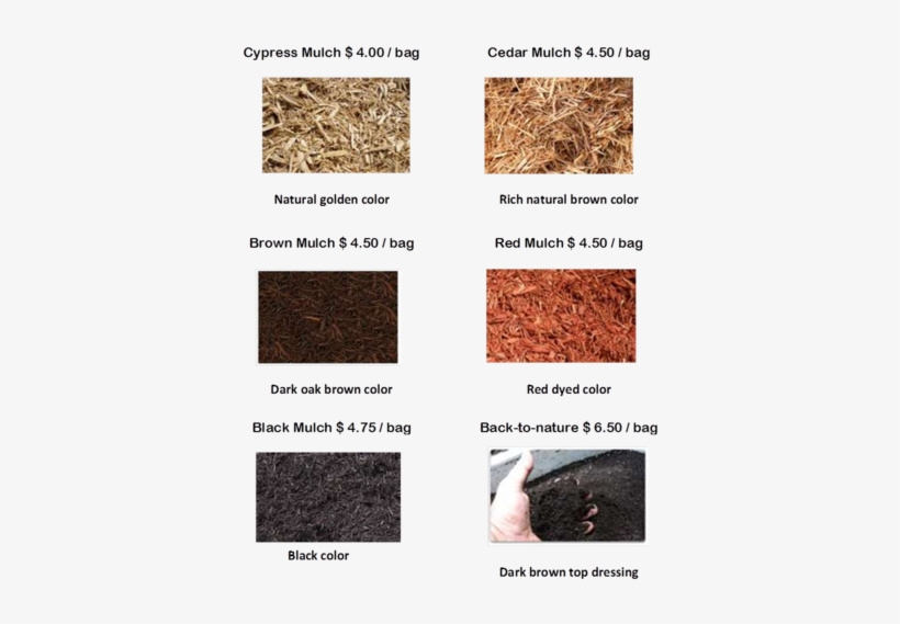 Nothing Entered - - Cypress Mulch, transparent png download