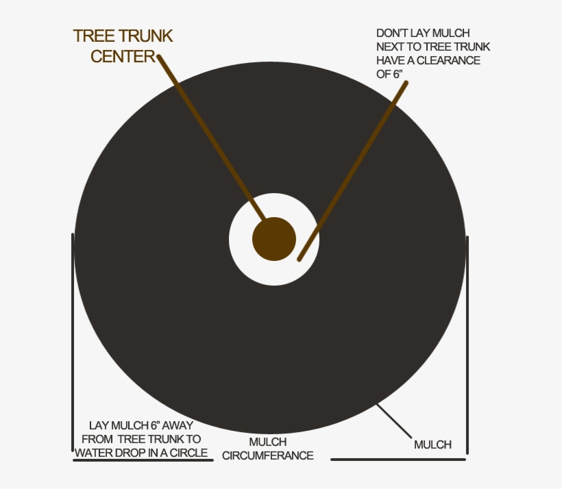 How To Properly Lay Mulch - Mulching Around Trees, transparent png download