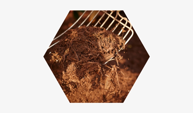 Mulch Sourabh Saraf 2017 01 05t07 - Mulch, transparent png download