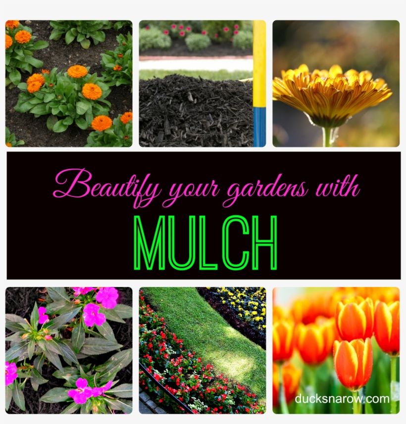 Beautify Your Gardens With A Rich, Nourishing Blanket - Mambino Organics Anti-stretch And Rebound Skin Duo,, transparent png download