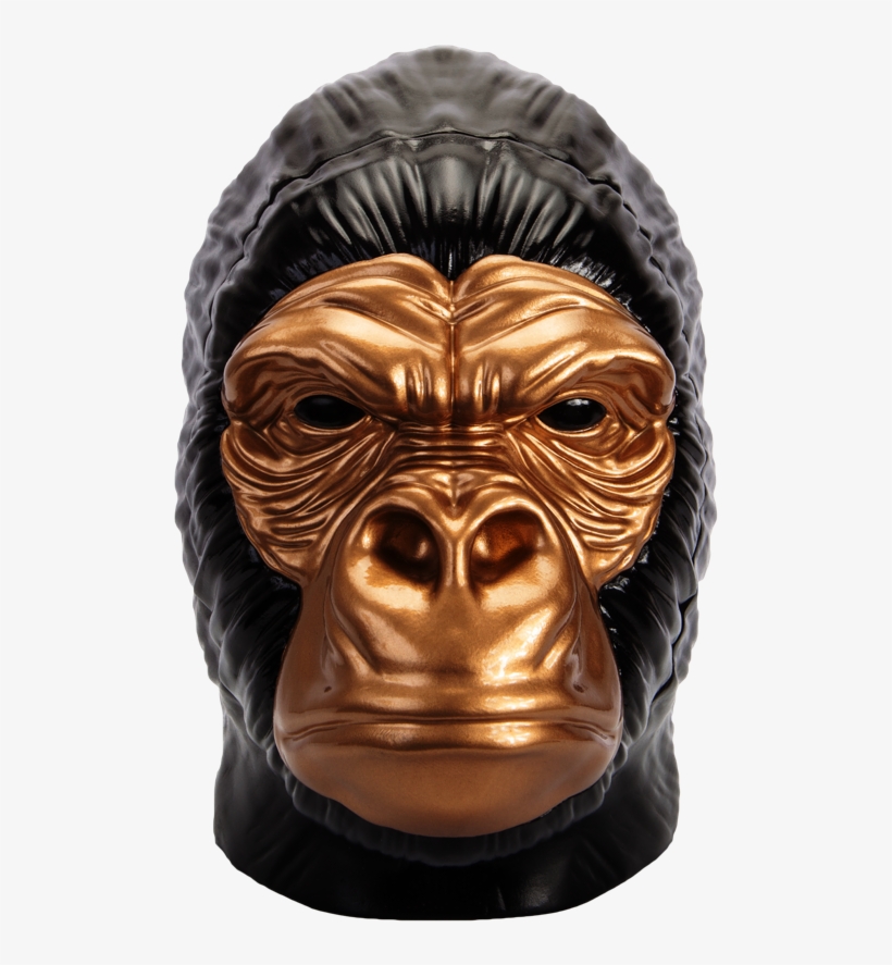 Paul Jackson Darwins Revenge Face On 1s V=1521431899 - Common Chimpanzee, transparent png download