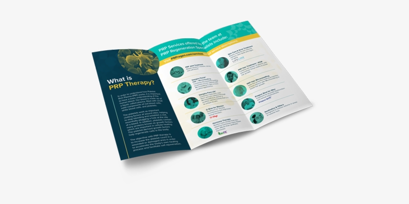 Prp Trifoldbrochure 2018 Mockup Inside 500px Liquid - Mockup, transparent png download