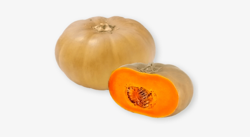 Squash - Squash Transparent, transparent png download
