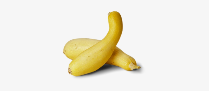 Jpg Royalty Free Stock Icon Png Whole Plant Foods Pinterest - Yellow Squash Transparent Background, transparent png download