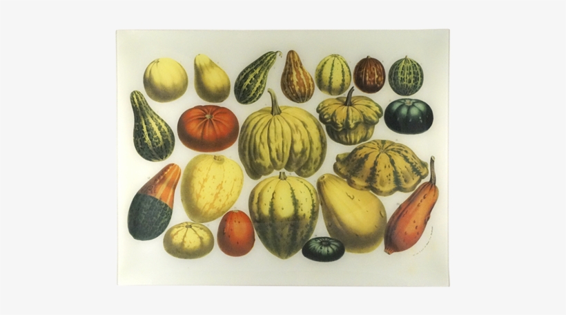 Collection Name - Squash, transparent png download