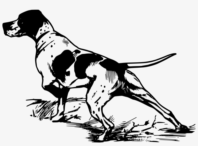 Download Png - Perro De Caza Vector, transparent png download
