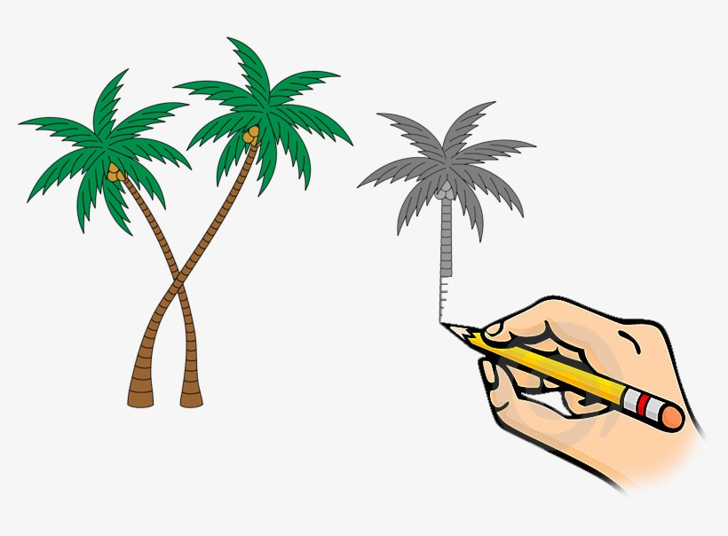 Heraldry 2 - Palm Tree Coat Of Arms, transparent png download