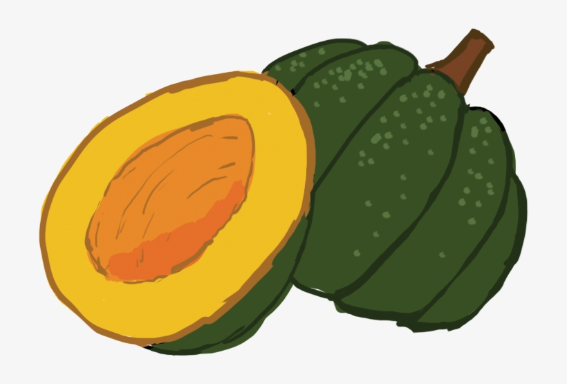 Png Transparent Download Collection Of Acorn High Quality - Acorn Squash Clipart, transparent png download