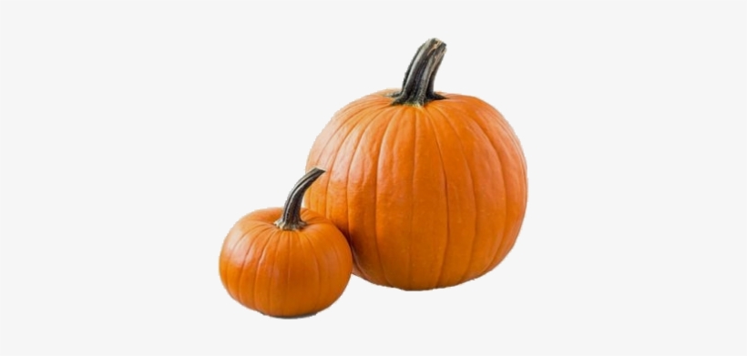 Moodboard Png Filler Nichememe Polyvore Pumpkin Hallowe - Fat Foods, transparent png download