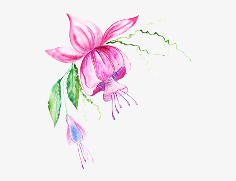 Go To Image - Watercolor Painting, transparent png download
