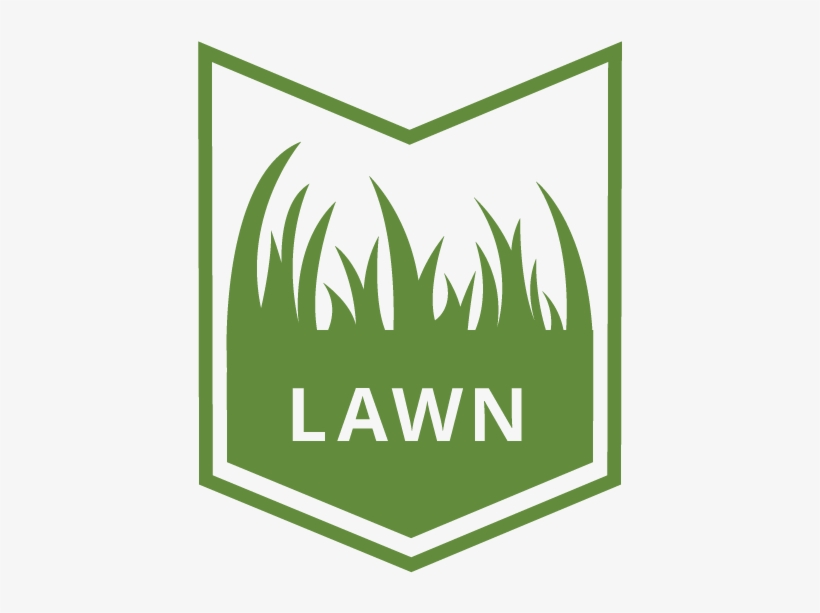 Your Grass Is Waking Up After A Long, Cold Winter And - Lawn, transparent png download