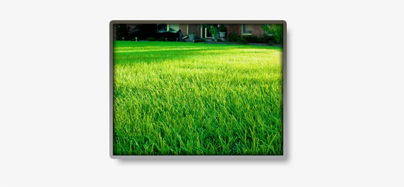 Complete This Form And One Of Our Lawn Technicians - Lawn Care, transparent png download