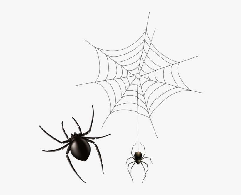 0, - Cobweb Pngs, transparent png download