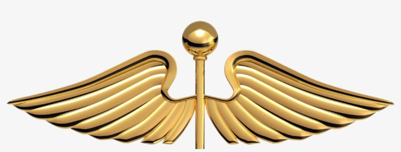 Cropped Caduceus Logo 1, transparent png download