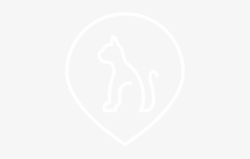 Cat-icon - Cat, transparent png download