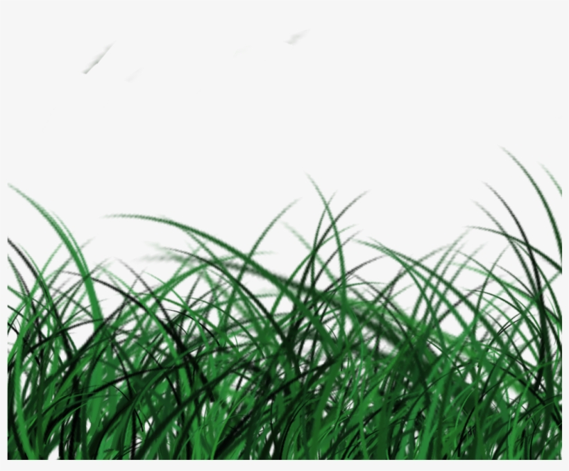 Posted By Jurassic Kart At - Sweet Grass, transparent png download